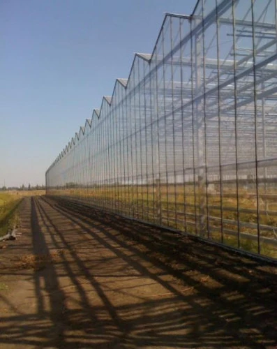 Назначен повторный аукцион по продаже тепличного комплекса в Краснодарском крае