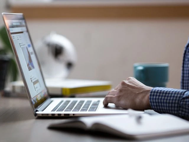 ГИС «Торги» по продаже земельных участков и аренде: как пользоваться