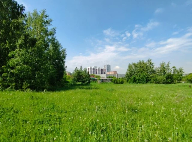 Земельный лот под жилую и коммерческую застройку в Новосибирске повторно выставлен на торги 