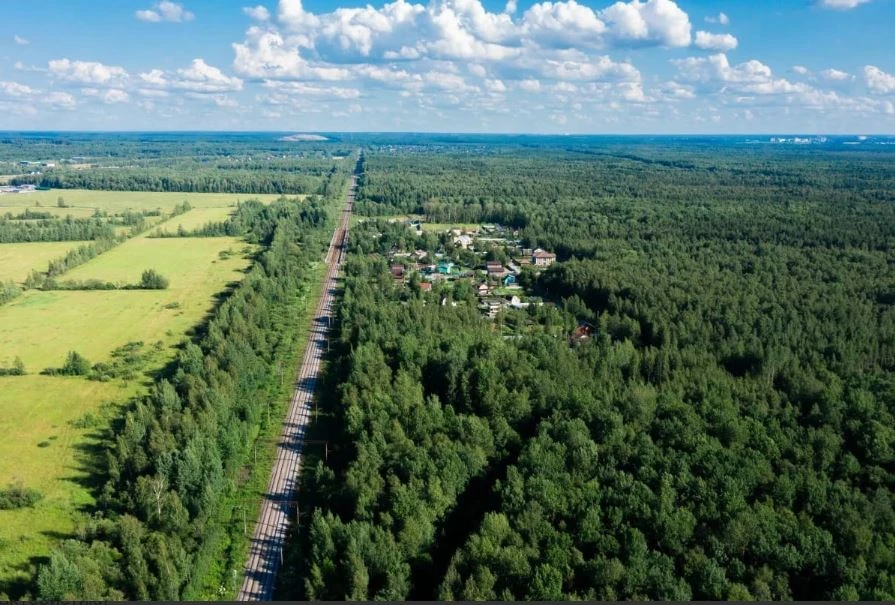 Под Петербургом продается крупный земельный лот под коттеджный поселок