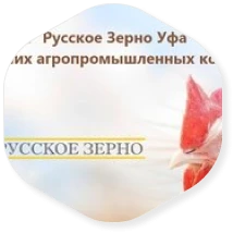 Крупнейшая птицеводческая компания Башкирии – ГК «Русское зерно» продана на торгах