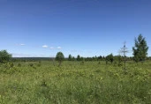 Земельные участки (134 шт.) - 158 721 +/- 1 425 кв. м, адрес: Пермский край, Ильинский р-н, тер. Накатаево урочище, земли сельскохозяйственного назначения - для садоводства