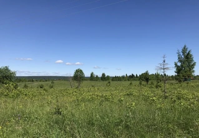 Земельные участки (134 шт.) - 158 721 +/- 1 425 кв. м, адрес: Пермский край, Ильинский р-н, тер. Накатаево урочище, земли сельскохозяйственного назначения - для садоводства