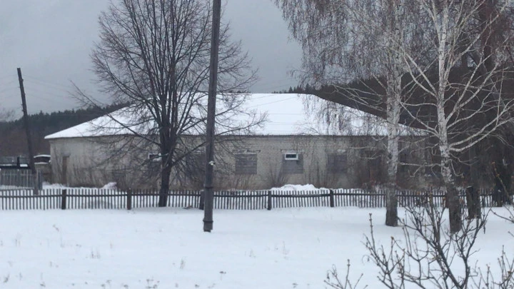 Продажа здания 271,7 кв. м с земельным участком 372 кв. м в с. Скугареевка Ульяновской области