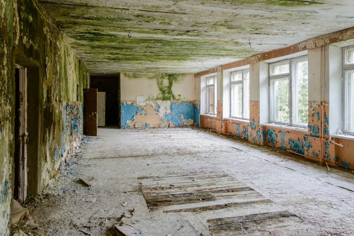 Имущественный комплекс в составе 3 зданий и земельного участка в с. Аламасово Нижегородской области