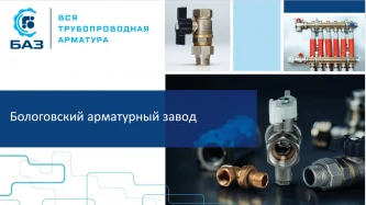 100% долей в уставном капитале ООО «БАЗ» (ОГРН: 1186952005063), права требования к ООО «БАЗ» (ОГРН: 1186952005063), исключительные права на товарный знак