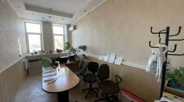 Продажа здания 306,2 кв. м с земельным участком 562 кв. м в с. Борское Самарской области
