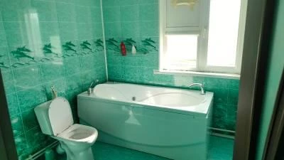 Жилой дом 160 кв.м и З/У - 3387 кв.м по адресу: Самарская область, р-н Безенчукский, с. Никольское, ул. Зеленая Лука, д. 10а