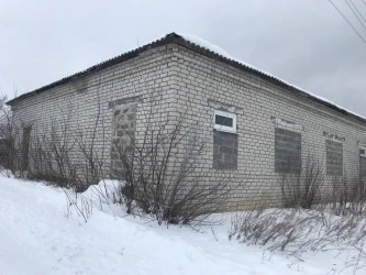 Продажа здания 271,7 кв. м с земельным участком 372 кв. м в с. Скугареевка Ульяновской области
