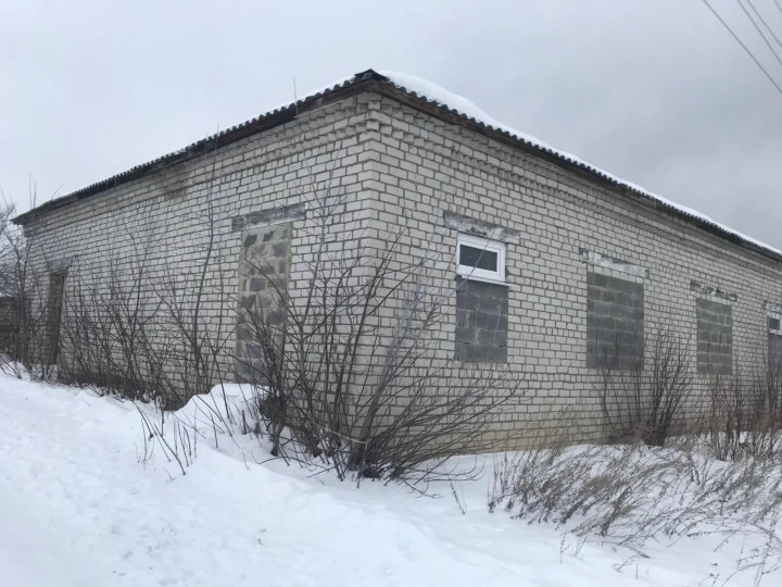 Продажа здания 271,7 кв. м с земельным участком 372 кв. м в с. Скугареевка Ульяновской области