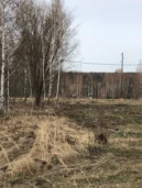 Земельный участок, общей площадью 18 872 кв. м, расположенный по адресу: Московская обл, Серебряные Пруды рп,