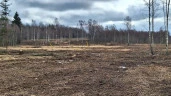 Земельный участок - 154 951 +/- 3 444 кв. м, земельный участок - 16 007 кв. м, адрес: Тверская обл., Зубцовский р-н, с/пос Зубцовское, вблизи д. Давыдково, д. Гармоново