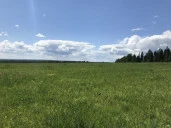 Земельные участки (22 шт.) - 30 441 кв. м +/- 250 кв. м, адрес: Пермский край, Ильинский р-н, тер. урочище «Мыски», земли сельскохозяйственного назначения - для садоводства