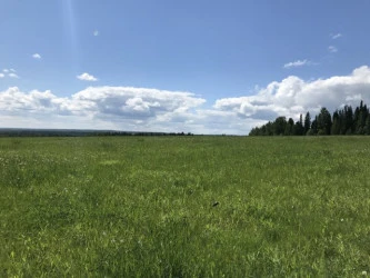 Земельные участки (22 шт.) - 30 441 кв. м +/- 250 кв. м, адрес: Пермский край, Ильинский р-н, тер. урочище «Мыски», земли сельскохозяйственного назначения - для садоводства
