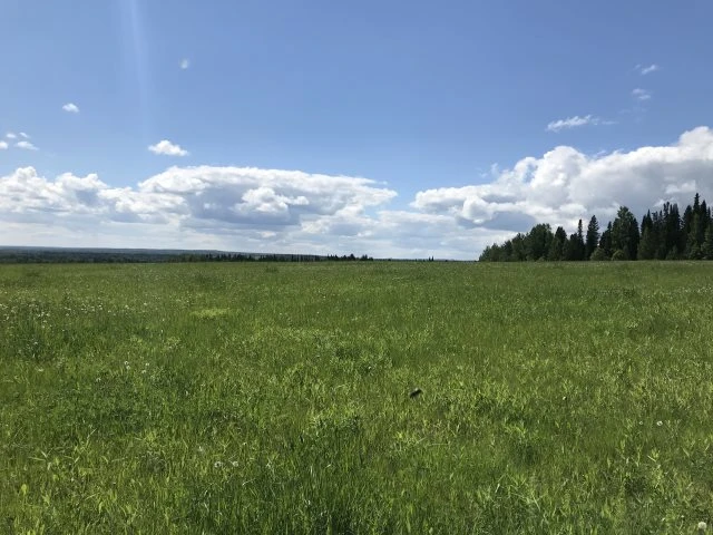Земельные участки (22 шт.) - 30 441 кв. м +/- 250 кв. м, адрес: Пермский край, Ильинский р-н, тер. урочище «Мыски», земли сельскохозяйственного назначения - для садоводства