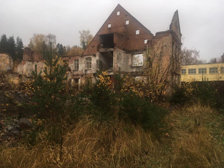 Имущественный комплекс на земельном участке 16 260 кв.м: Ярославская область, Тутаевский район, Помогаловский сельский округ, п. Красный Бор, ул. Верхняя Дача, д. 11, с земельным участком