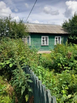 Здание 69,3 кв.м и земельный участок в Курской области, Рышковский сельсовет, д. Басово-Заречье