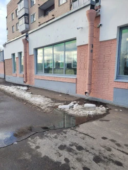 Аренда нежилого помещения 176,4 кв.м в Пушкине