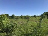 Земельный участок (земли населенных пунктов) - 1 250 +/- 10 кв. м, адрес: Пермский край, Добрянский р-н, с. п. Краснослудское, д. Городище, кадастровый номер 59:18:3630101:4254