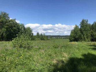 Земельные участки (20 шт.) - 34 113 +/- 365 кв. м, адрес: Пермский край, Ильинский р-н, Филатовское с.п. СХП им. Никольского, урочище «Боричи», земли сельскохозяйственного назначения - для садоводства