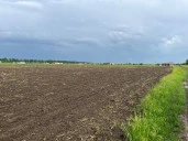Земельный участок под аграрный бизнес в пригороде г. Краснодара.
