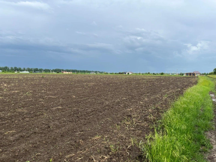 Земельный участок под аграрный бизнес в пригороде г. Краснодара.