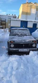 Транспортное средство ВАЗ-21310 LADA 4 х 4,  2007 года изготовления, идентификационный номер  (VIN) XTA21310070084738