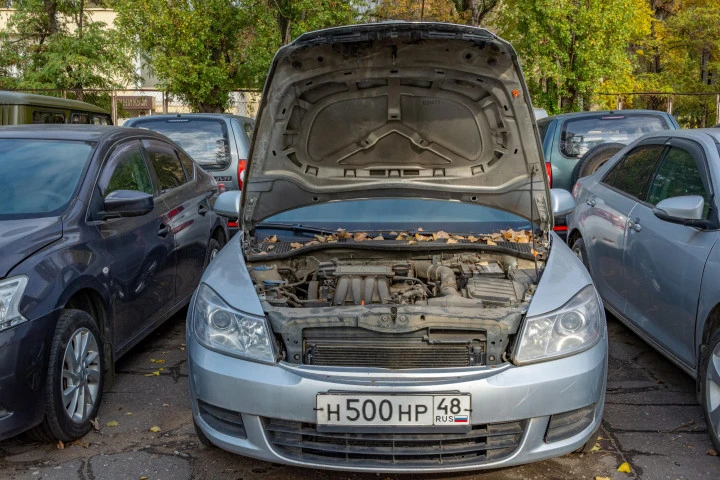 Легковой автомобиль, марка, модель ТС: Skoda Octavia, 2011 года выпуска