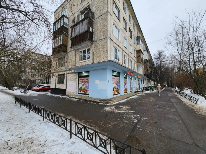 Нежилое помещение площадью 165,6 кв.м. с арендаторами в Московском районе Санкт-Петербурга