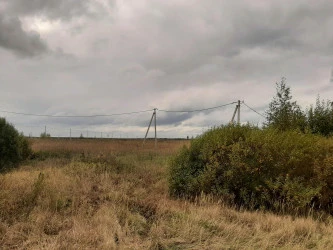 Конгломерат ЗУ общей площадью 0,5 Га