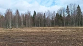 Земельный участок - 154 951 +/- 3 444 кв. м, земельный участок - 16 007 кв. м, адрес: Тверская обл., Зубцовский р-н, с/пос Зубцовское, вблизи д. Давыдково, д. Гармоново