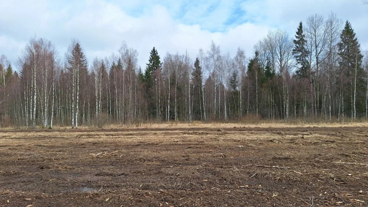 Земельный участок - 154 951 +/- 3 444 кв. м, земельный участок - 16 007 кв. м, адрес: Тверская обл., Зубцовский р-н, с/пос Зубцовское, вблизи д. Давыдково, д. Гармоново