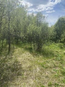 Земельные участки (16 поз.) - 52 310 +/- 162 кв. м, адрес: Ярославская обл., Переславский р-н, с/о Глебовский, вблизи д. Большое Пальцино, ДНП «Союз дачников», земли сельскохозяйственного назначения - для ведения дачного хозяйства