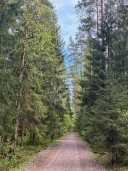 Продажа участков в Курортном районе СПБ
