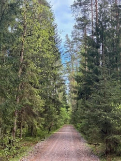 Продажа участков в Курортном районе СПБ