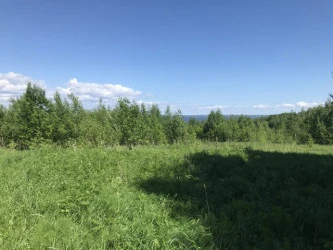 Земельные участки (123 шт.) - 149 654 +/- 1 284 кв. м, адрес: Пермский край, Ильинский р-н, тер. Некрасова урочище, земли сельскохозяйственного назначения - для садоводства