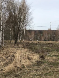 Земельный участок, общей площадью 18 872 кв. м, расположенный по адресу: Московская обл, Серебряные Пруды рп,