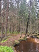 Продажа участков в Курортном районе СПБ