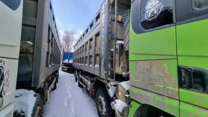 Специализированный, автомобиль - самосвал SHACMAN SX33186W366C, 2022, Идентификационный номер: LZGJX4W65NX032789