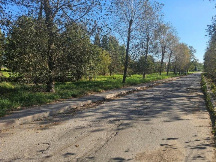 Земельный участок для коммерческой застройки в Пушкине