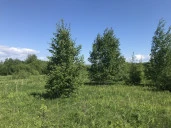 Земельные участки (123 шт.) - 149 654 +/- 1 284 кв. м, адрес: Пермский край, Ильинский р-н, тер. Некрасова урочище, земли сельскохозяйственного назначения - для садоводства