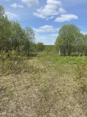 Земельные участки (16 поз.) - 52 310 +/- 162 кв. м, адрес: Ярославская обл., Переславский р-н, с/о Глебовский, вблизи д. Большое Пальцино, ДНП «Союз дачников», земли сельскохозяйственного назначения - для ведения дачного хозяйства
