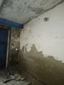 Здание общей площадью 24 кв. м с кадастровым номером 86:12:0101019:721 и земельный участок с кадастровым номером 86:12:0101001:5147, расположенные по адресу: Ханты-Мансийский автономный округ  Югра, г. Ханты-Мансийск, ГСК Иртыш, ряд 2, бокс 29