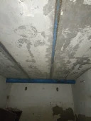 Здание общей площадью 24 кв. м с кадастровым номером 86:12:0101019:721 и земельный участок с кадастровым номером 86:12:0101001:5147, расположенные по адресу: Ханты-Мансийский автономный округ  Югра, г. Ханты-Мансийск, ГСК Иртыш, ряд 2, бокс 29