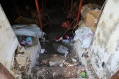 Право аренды помещения площадью 219,9 кв. м в Апраксином дворе