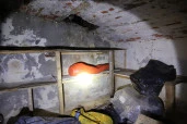 Аренда части нежилого помещения на территории Апраксиного двора