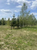 Земельные участки (16 поз.) - 52 310 +/- 162 кв. м, адрес: Ярославская обл., Переславский р-н, с/о Глебовский, вблизи д. Большое Пальцино, ДНП «Союз дачников», земли сельскохозяйственного назначения - для ведения дачного хозяйства