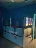 Нежилое помещение (офис), площадью 216,3 кв. м, этажи № 2, № 1. Республика Башкортостан, г. Уфа, Кировский р-н, ул. Достоевского, д. 100, офис № 7.