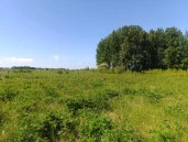 Земельный участок 12,8 га в Калининградская обл.