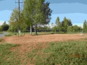 Продажа земельного участка сельскохозяйственного назначения, д. Голенищево (Мытищинский район, МО)